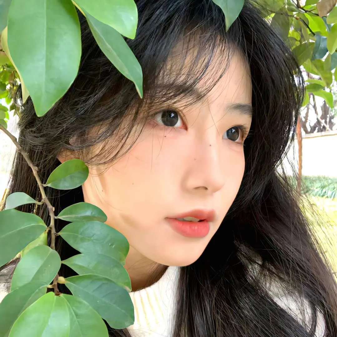 富江2:另一张面孔